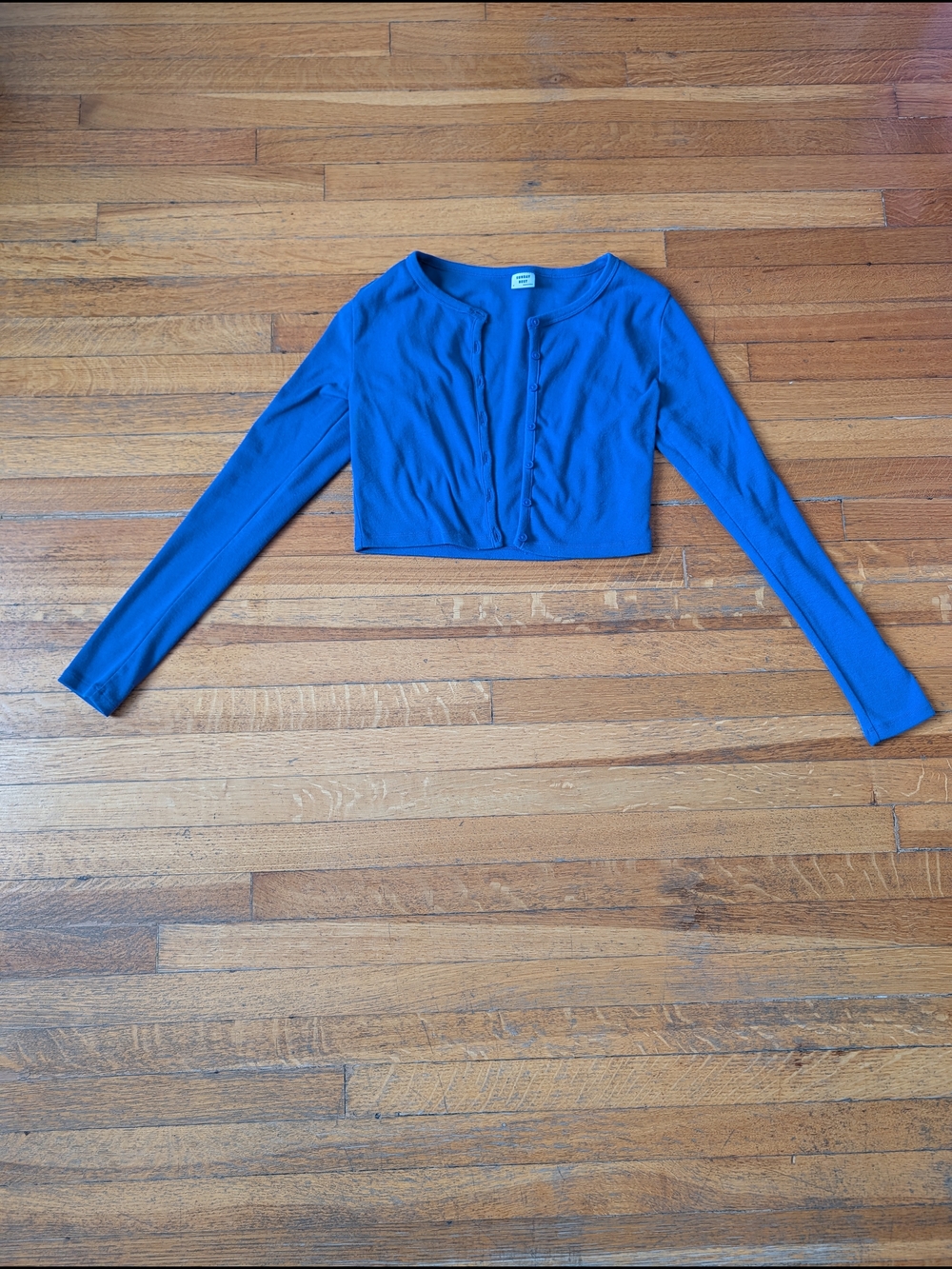 Aritzia (Sunday Best) Blue Cropped Long-Sleeve Button Cardigan